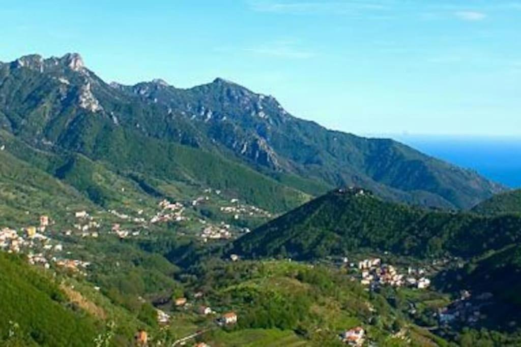 Amalfi Coast Casa Vacanze Marino 트라몬티 외부 사진