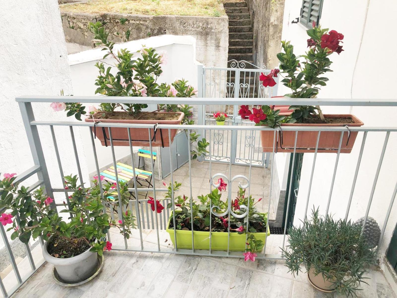 Amalfi Coast Casa Vacanze Marino 트라몬티 외부 사진